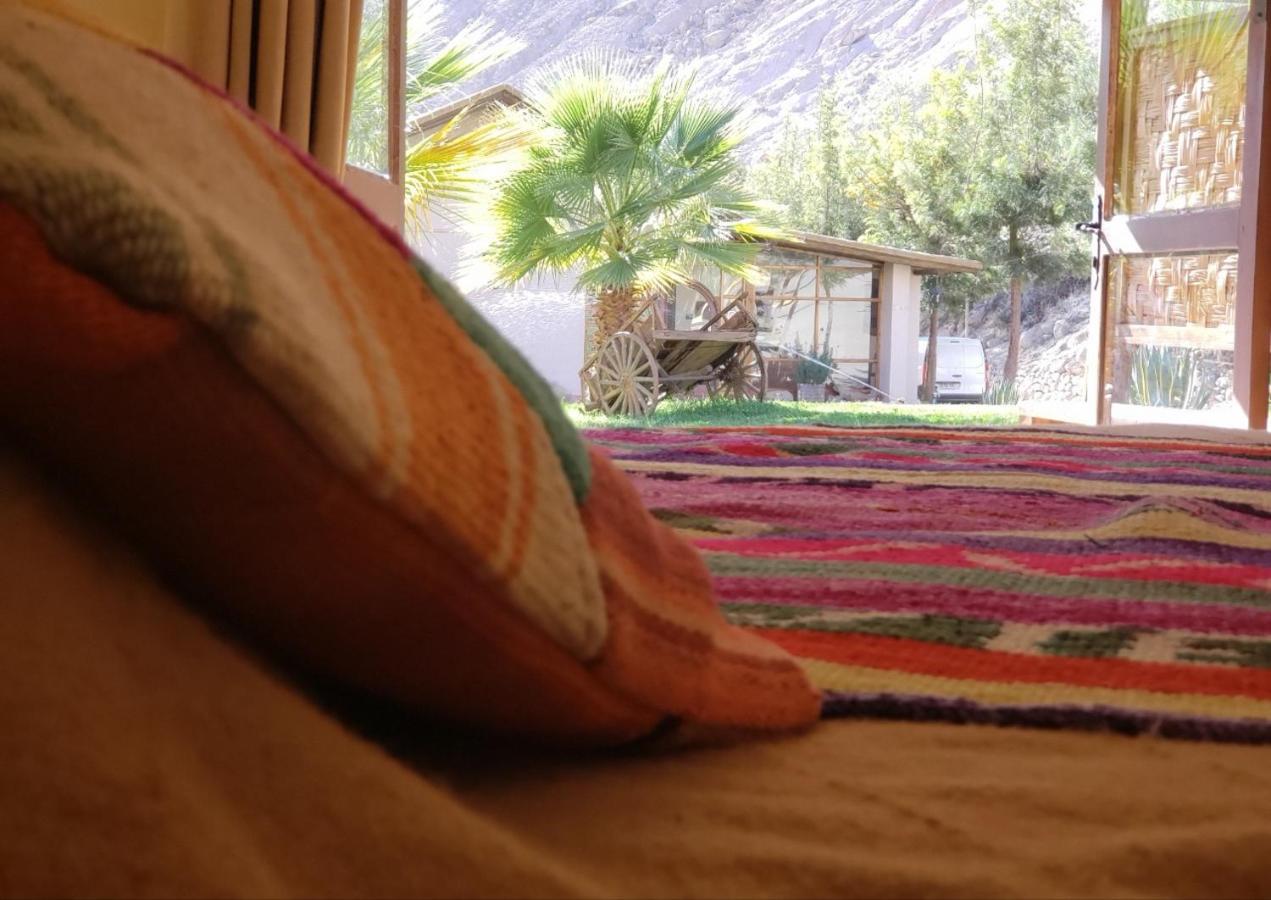 Aruma Codpa المظهر الخارجي الصورة