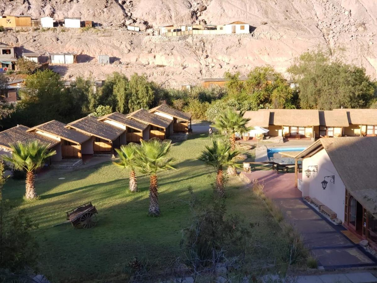 Aruma Codpa المظهر الخارجي الصورة