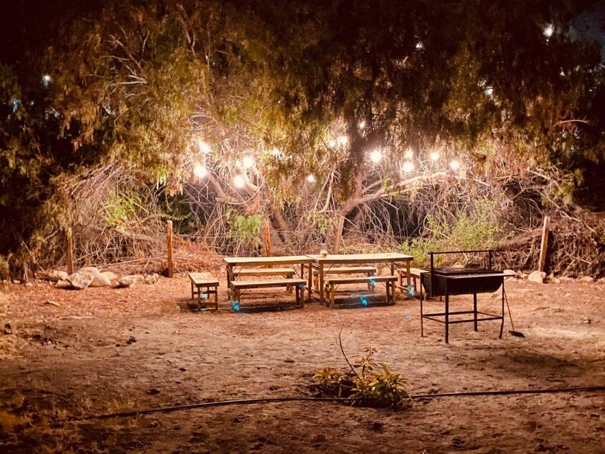 Aruma Codpa المظهر الخارجي الصورة