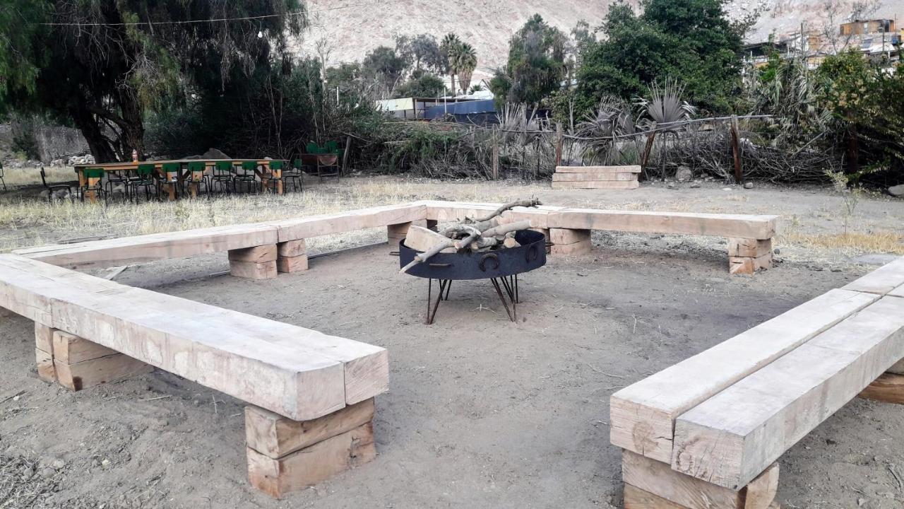 Aruma Codpa المظهر الخارجي الصورة