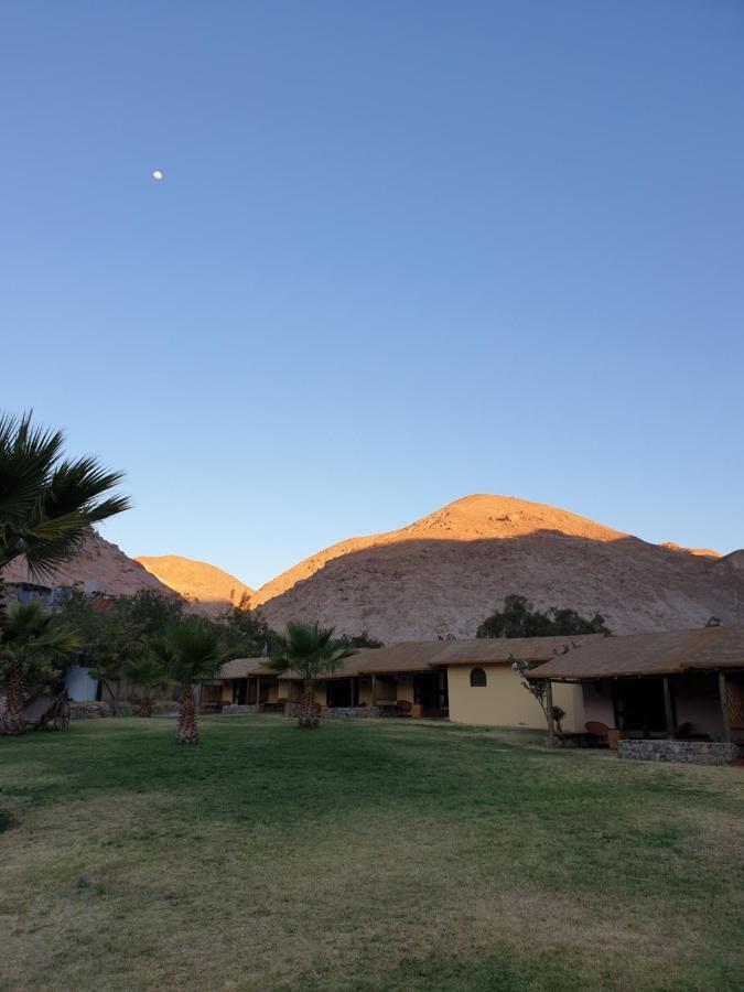 Aruma Codpa المظهر الخارجي الصورة